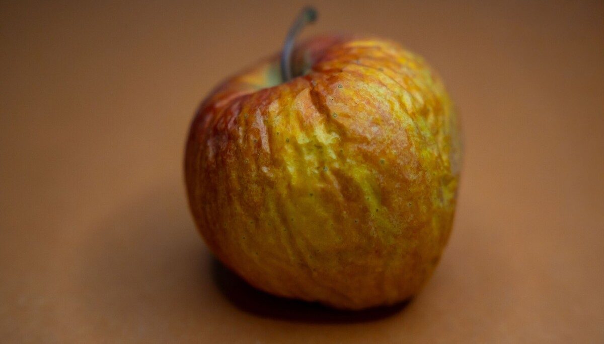המערכת הכושלת Copland של Apple עולה בדפדפן 30 שנה אחרי שנזנחה