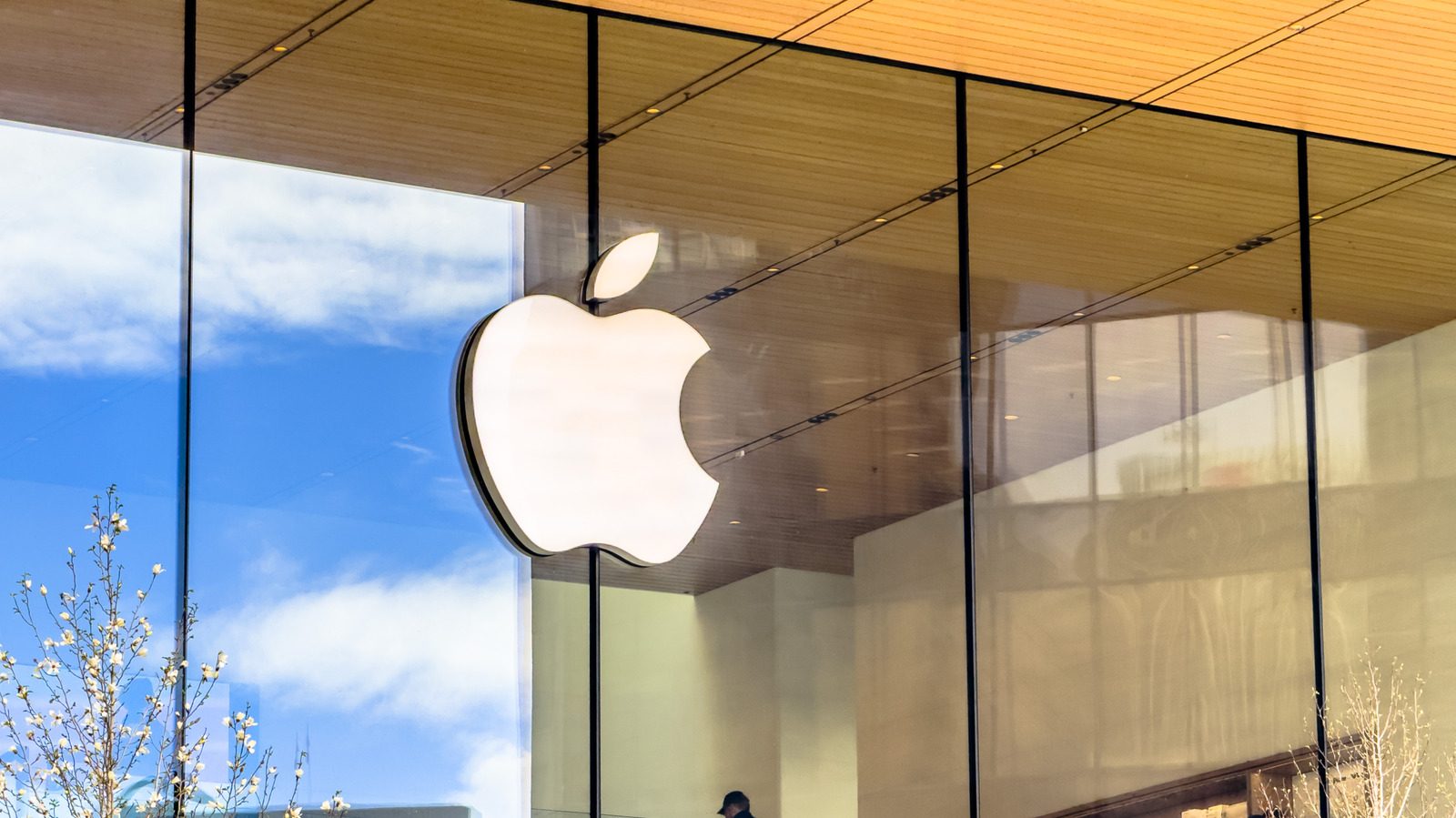 Bloomberg-ə görə, Apple video yazmayan ağıllı ev kamerası hazırlayır