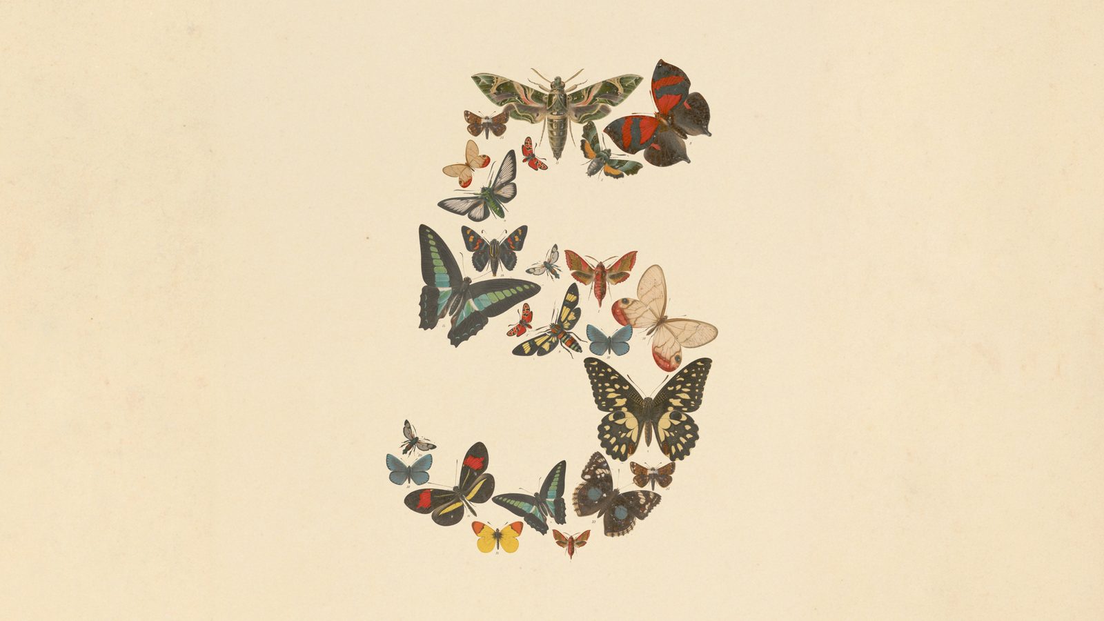 Anthropic Claude Fable 5 və Claude Mythos 5 modellərini təqdim etdi
