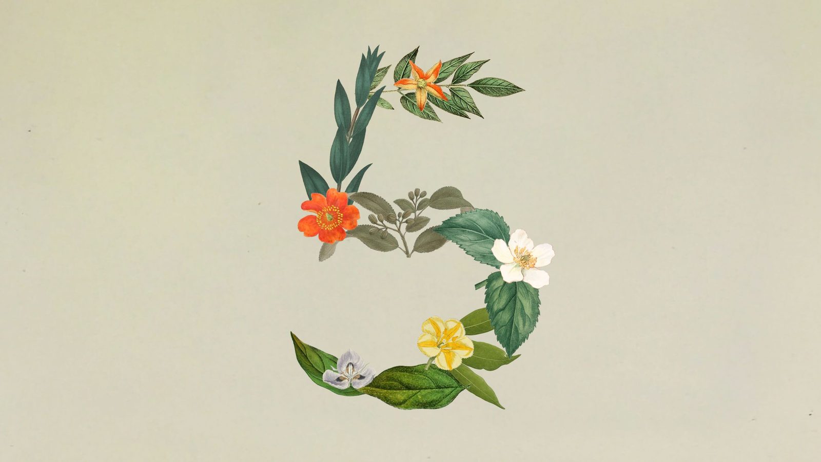 Anthropic تطلق Claude Sonnet 5، أكثر نماذج Sonnet قدرة على العمل الوكيل