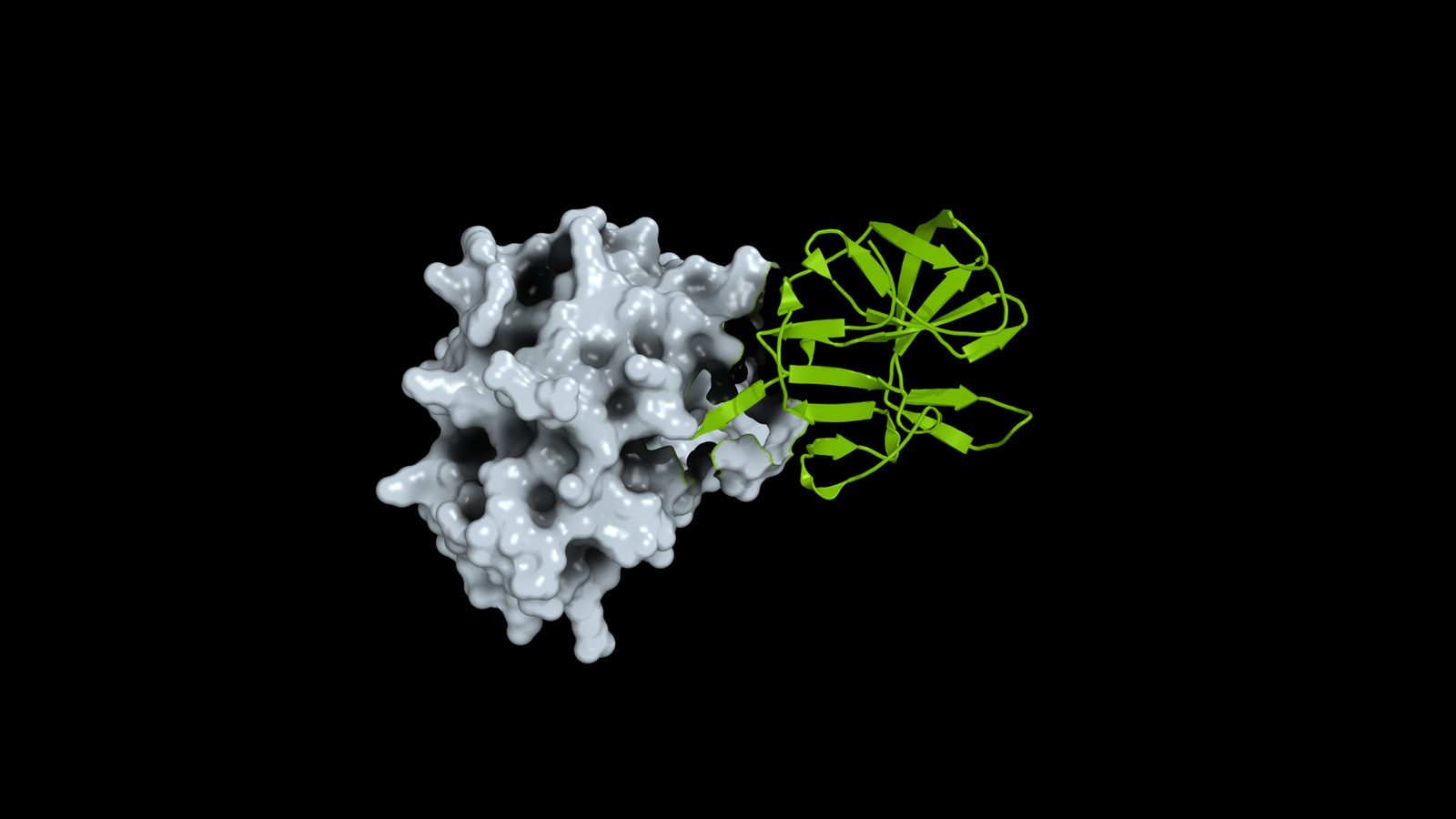 How open science helps researchers prepare for the next pandemic