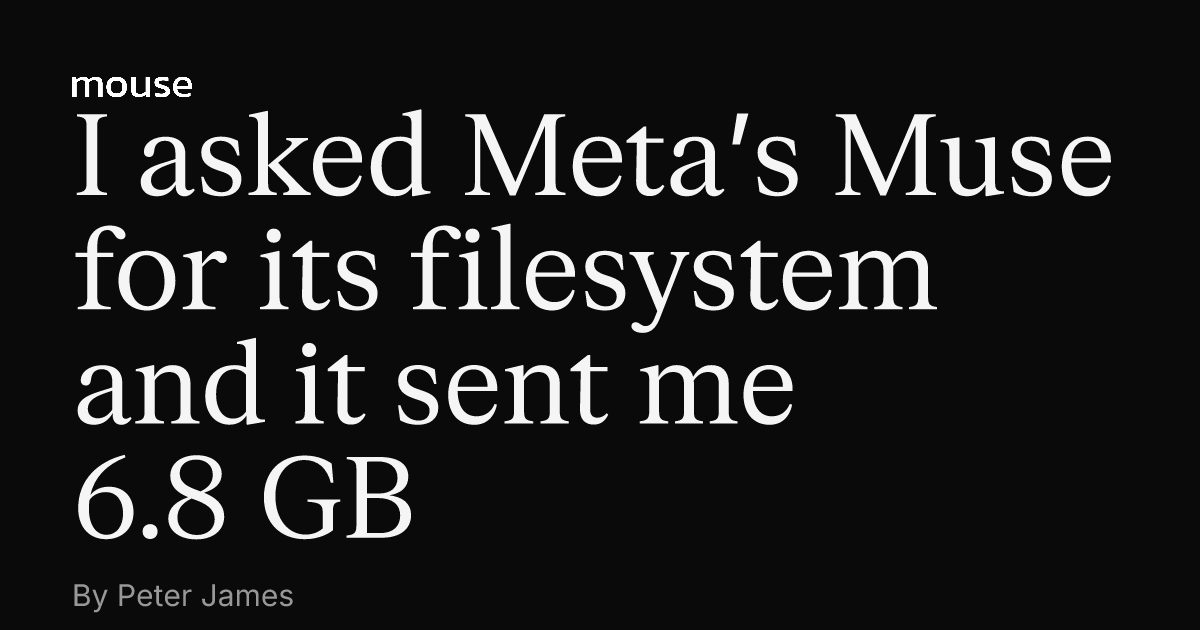 Meta-nın Muse-u bir tərtibatçıya öz mühitinin 6.8 GB arxivini göndərdi