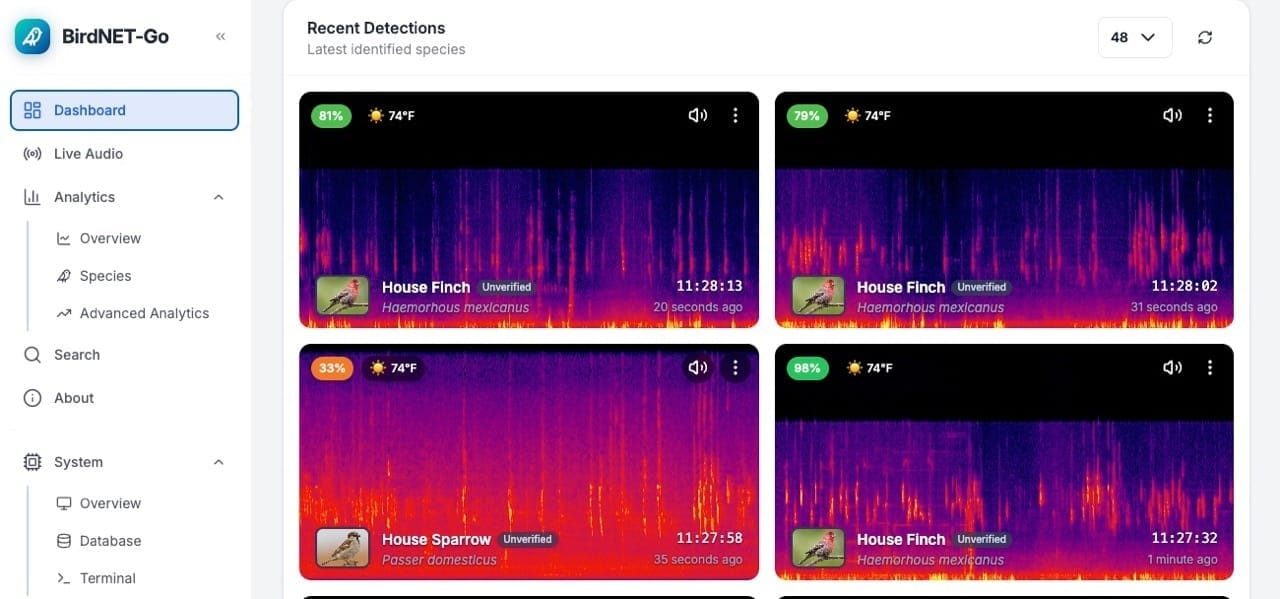 BirdNet-Go turns home security cameras into a 24/7 bird identifier