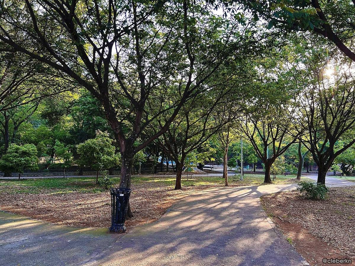 San-Paulu sakini baxımsız ərazini şəhərin ilk xətti parkına çevirdi