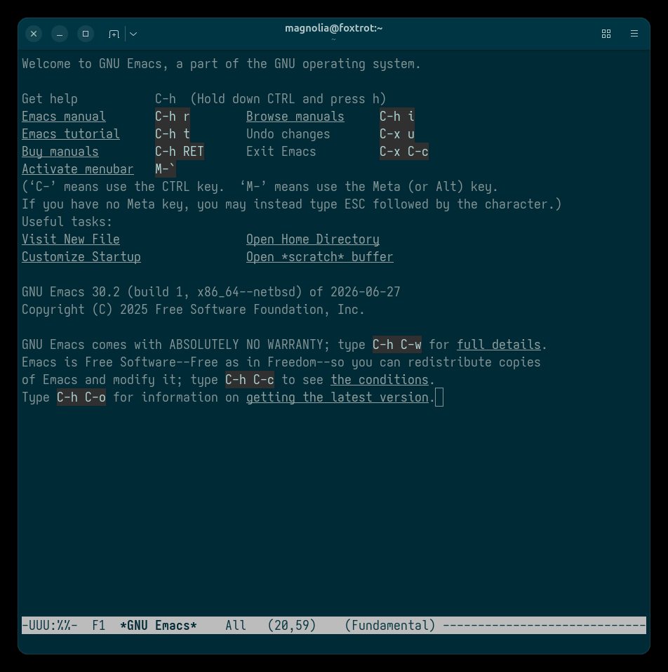 smolBSD ile NetBSD mikroVM içinde Emacs çalıştırmak