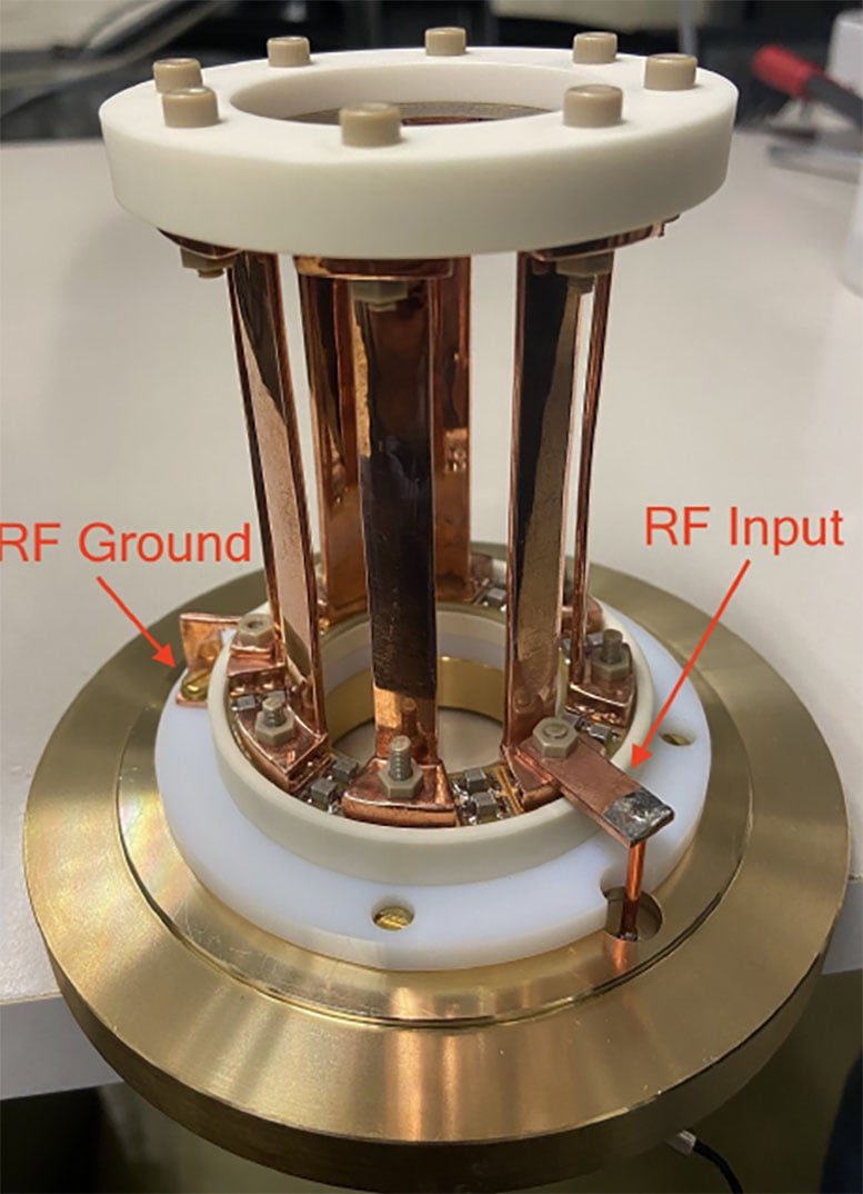 Close-up of the birdcage antenna inspired by MRI machines