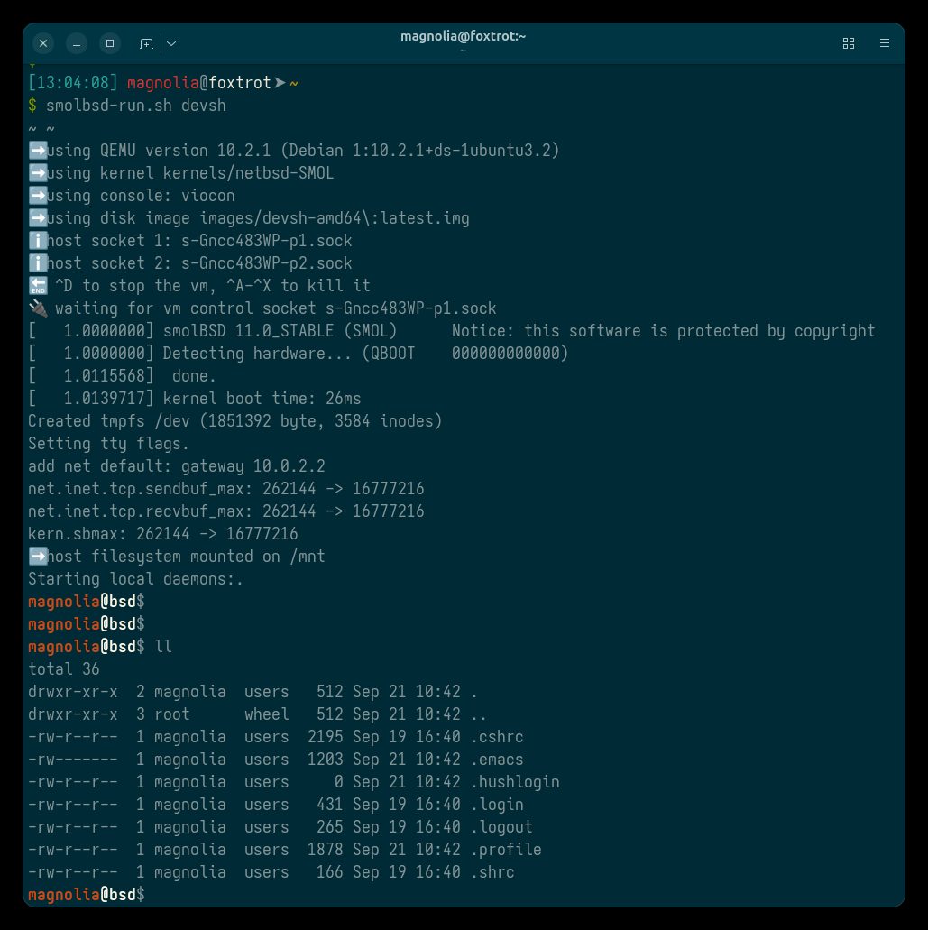 NetBSD microVM terminalde açılırken